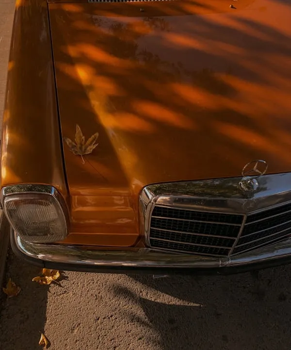 Rusty Vintage Mercedes Benz Under Autumn Tree Shade
