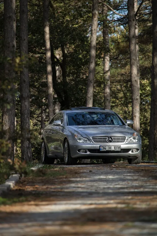 Silver Benz SUV in Dense Forest Trail Setting Wallpaper