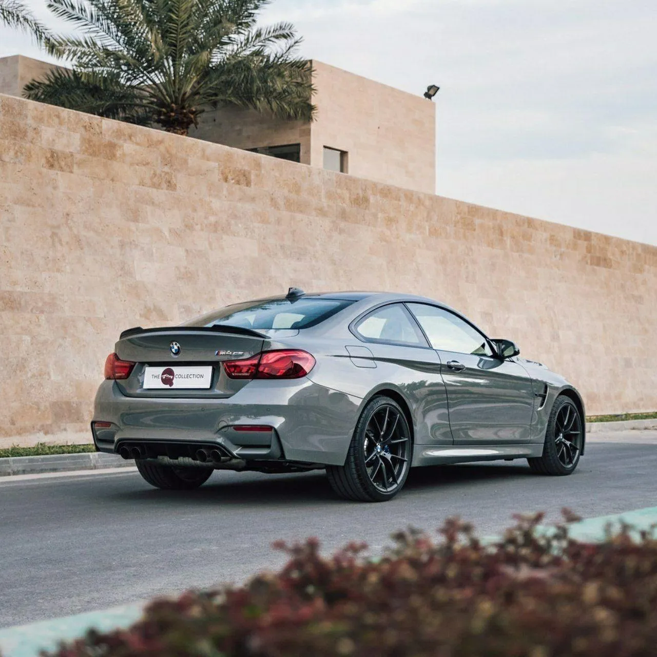 Silver Bmw Car Parked Near Wall Under Palm Tree Image