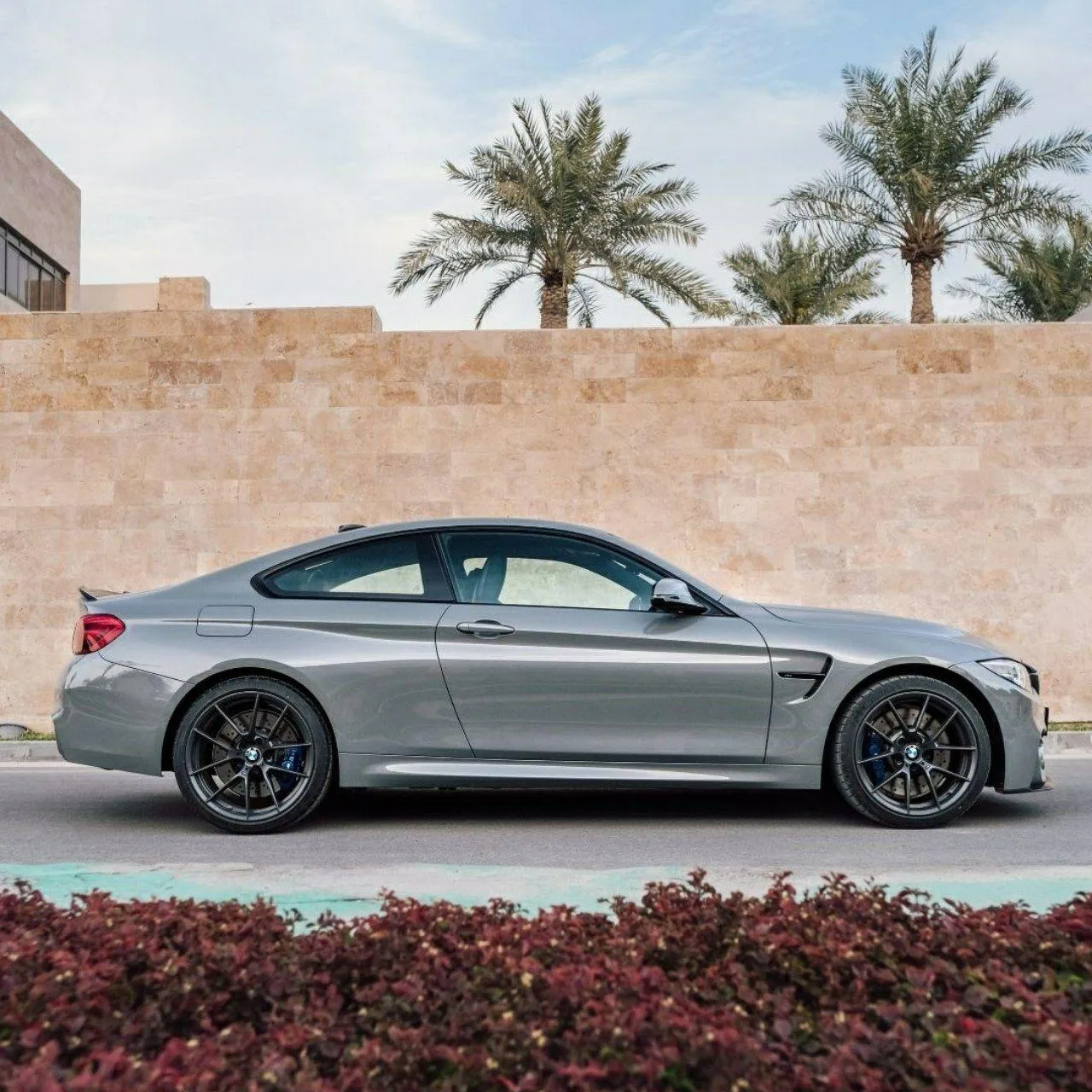 Silver Bmw Coupe Parked By Wall with Palm Trees Image