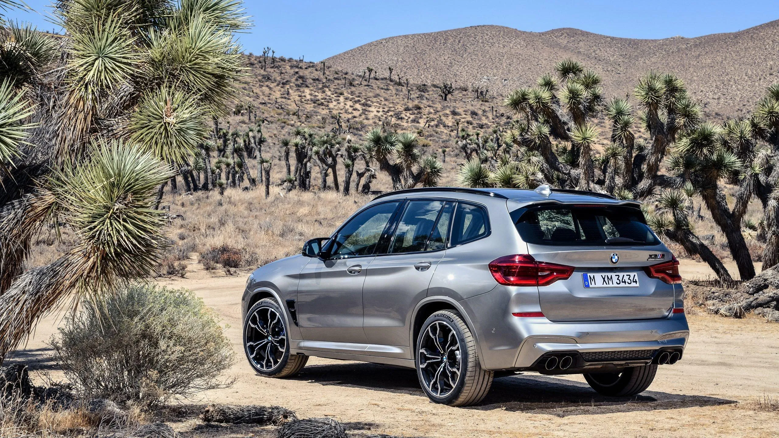 Silver Bmw Suv Parked Beside Desert Landscape and Trees