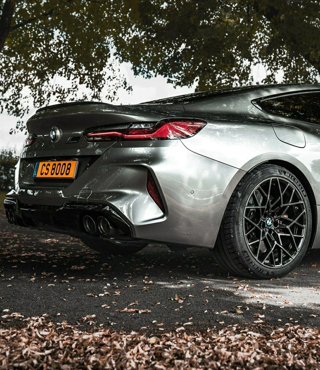 Silver Bmw with Black Rims Parked Under Tree Shade Image