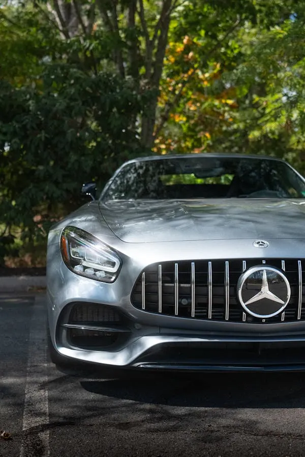 Silver Mercedes AMG GT parked under green leafy trees