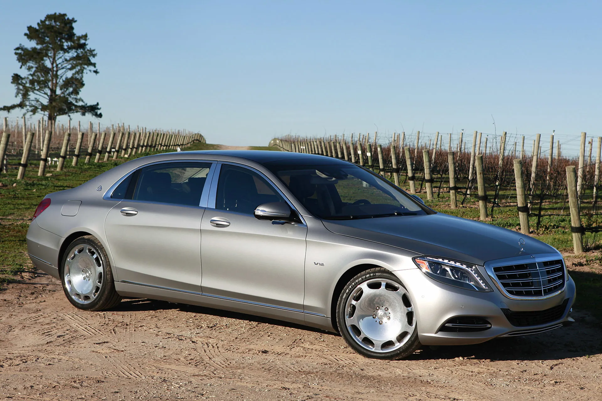 Silver Mercedes Benz Classic Sedan in Vineyard Wallpaper