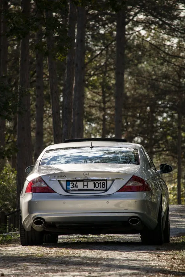 Silver Mercedes Benz in Forest Clearing at Sunset Wallpaper