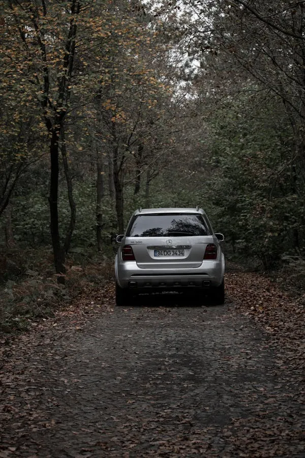 Silver Mercedes Benz Parked on Forest Path in Fall Wallpaper