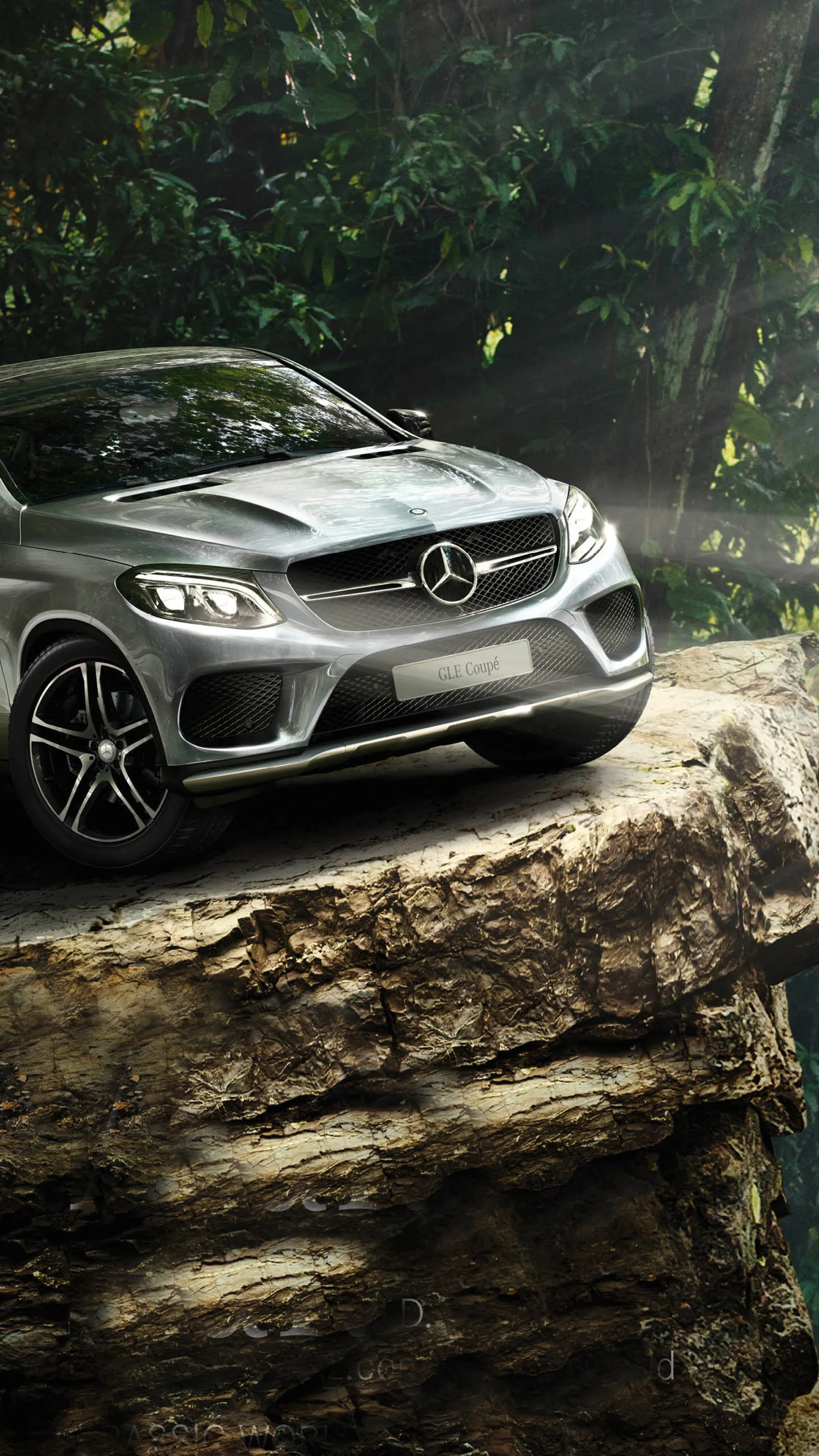 Silver Mercedes Coupe Balancing Power and Nature Views