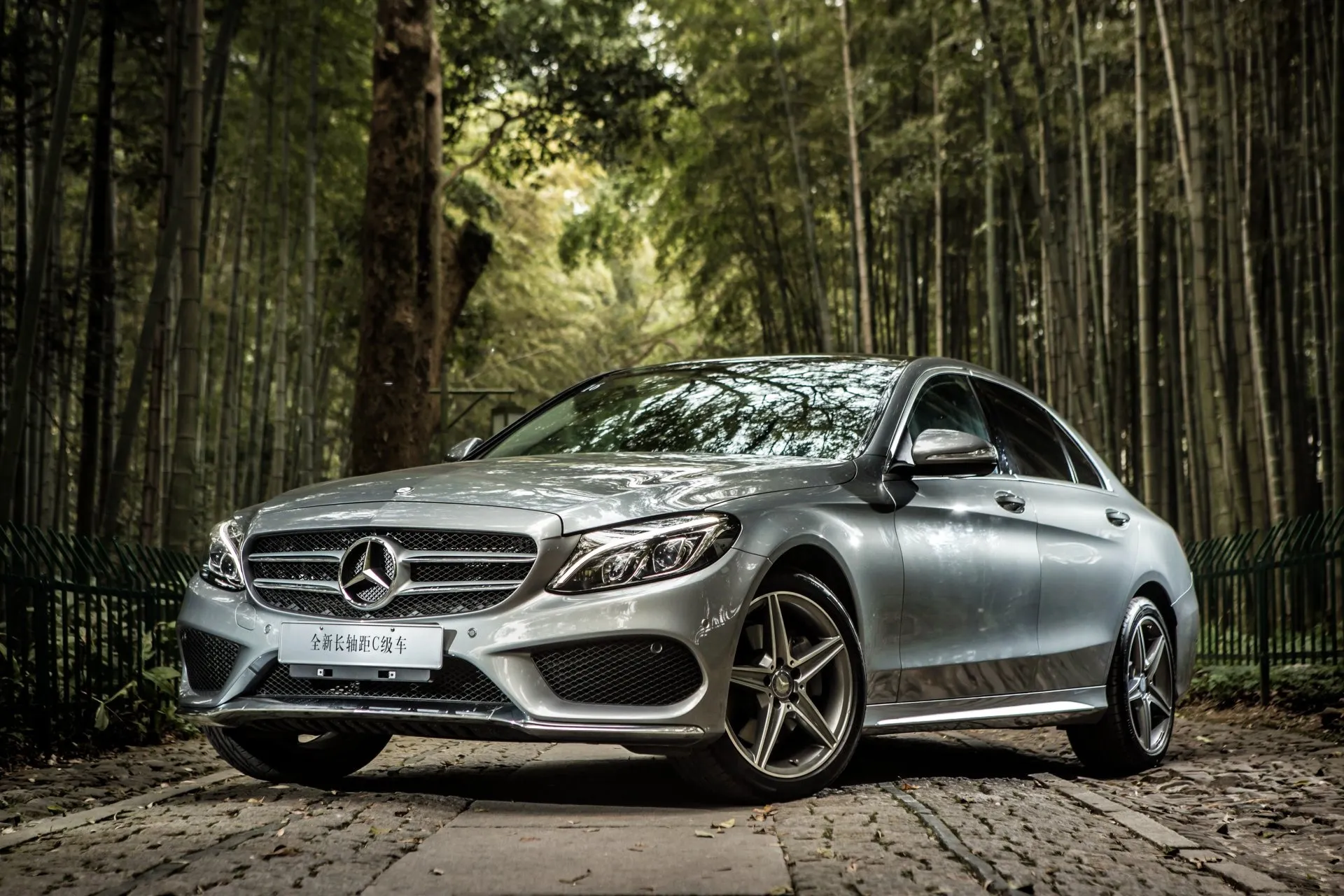 Silver Mercedes Coupe Parked in Dense Forest Environment