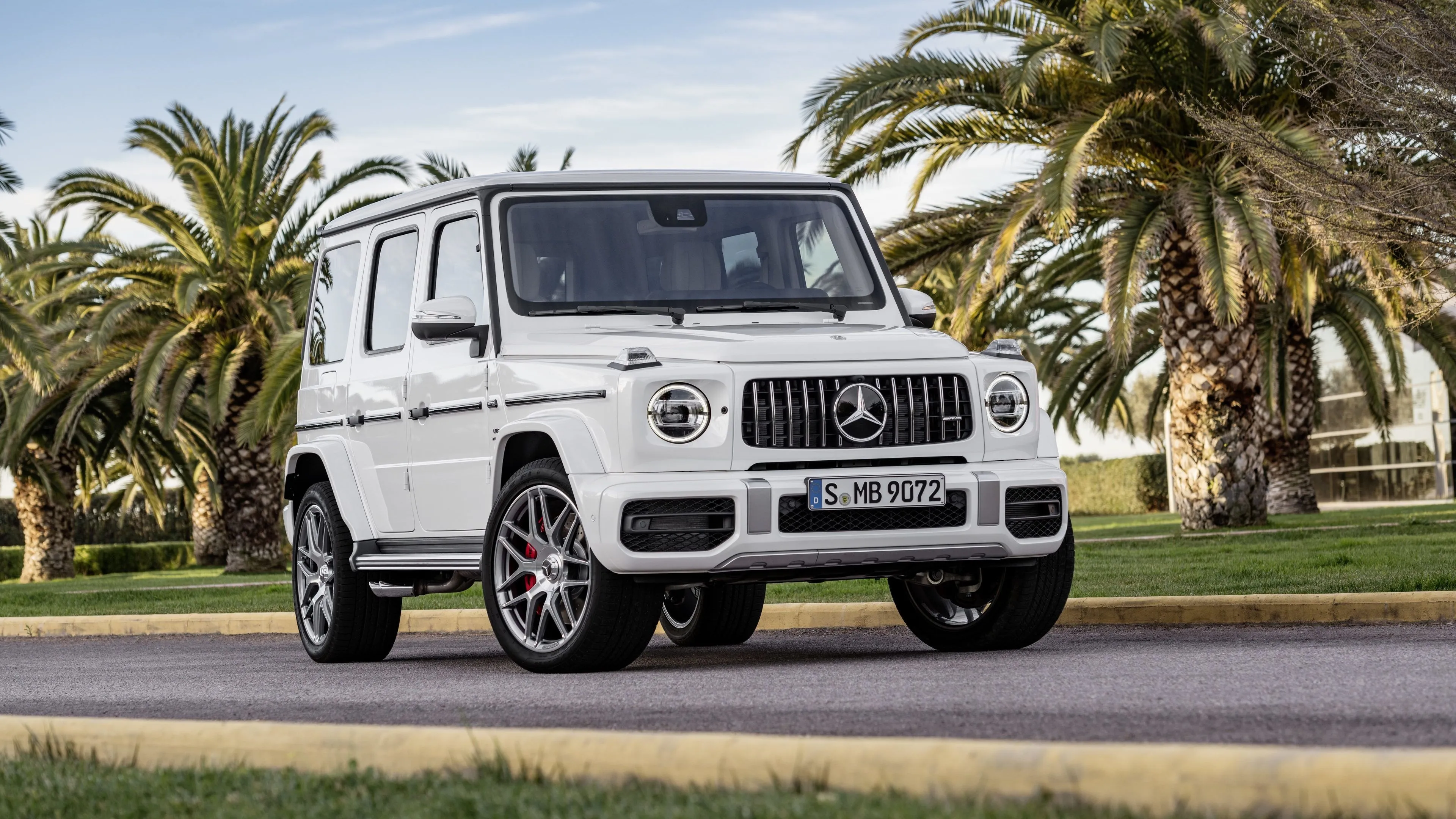 Silver Mercedes G Wagon Parked by Palm Trees Roadside