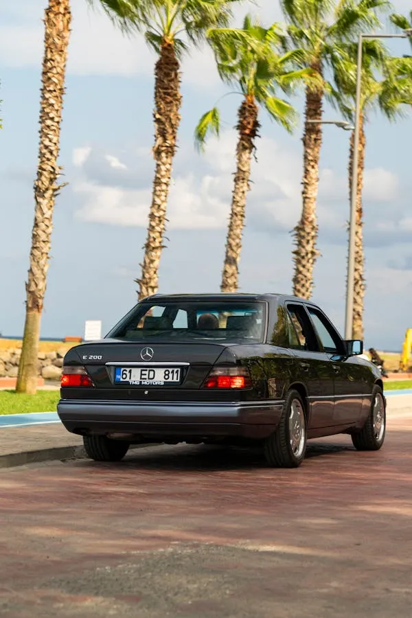 Striking Black Mercedes Benz Parked Near Palm Trees