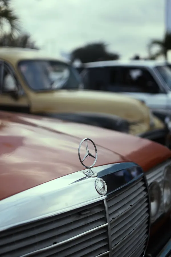 Striking Vintage Mercedes Benz Hood Ornament and Grill