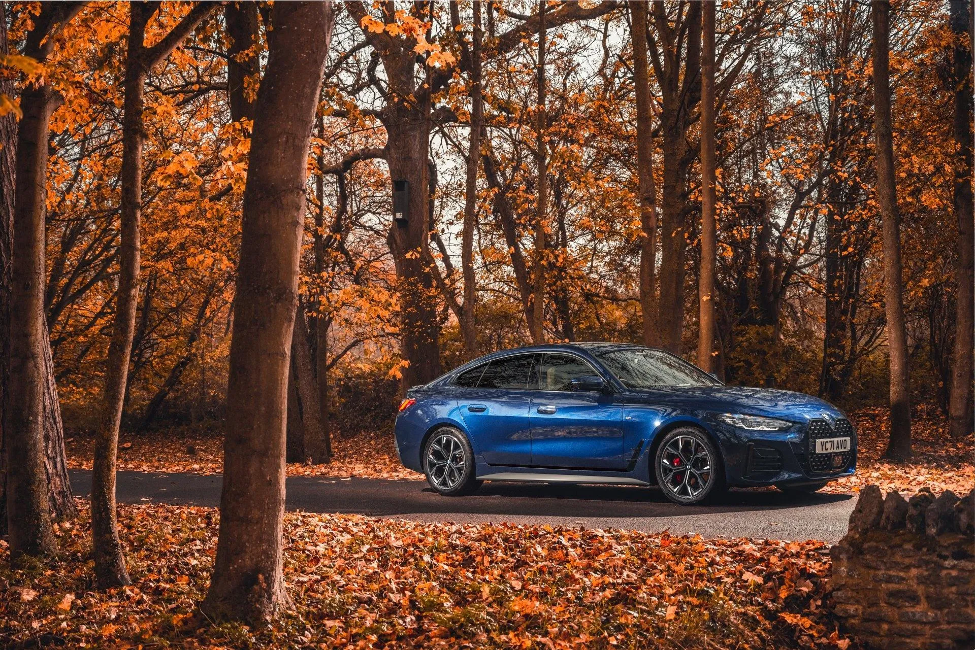 Stunning Bmw in Autumn Forest with Golden Leaves Wallpaper