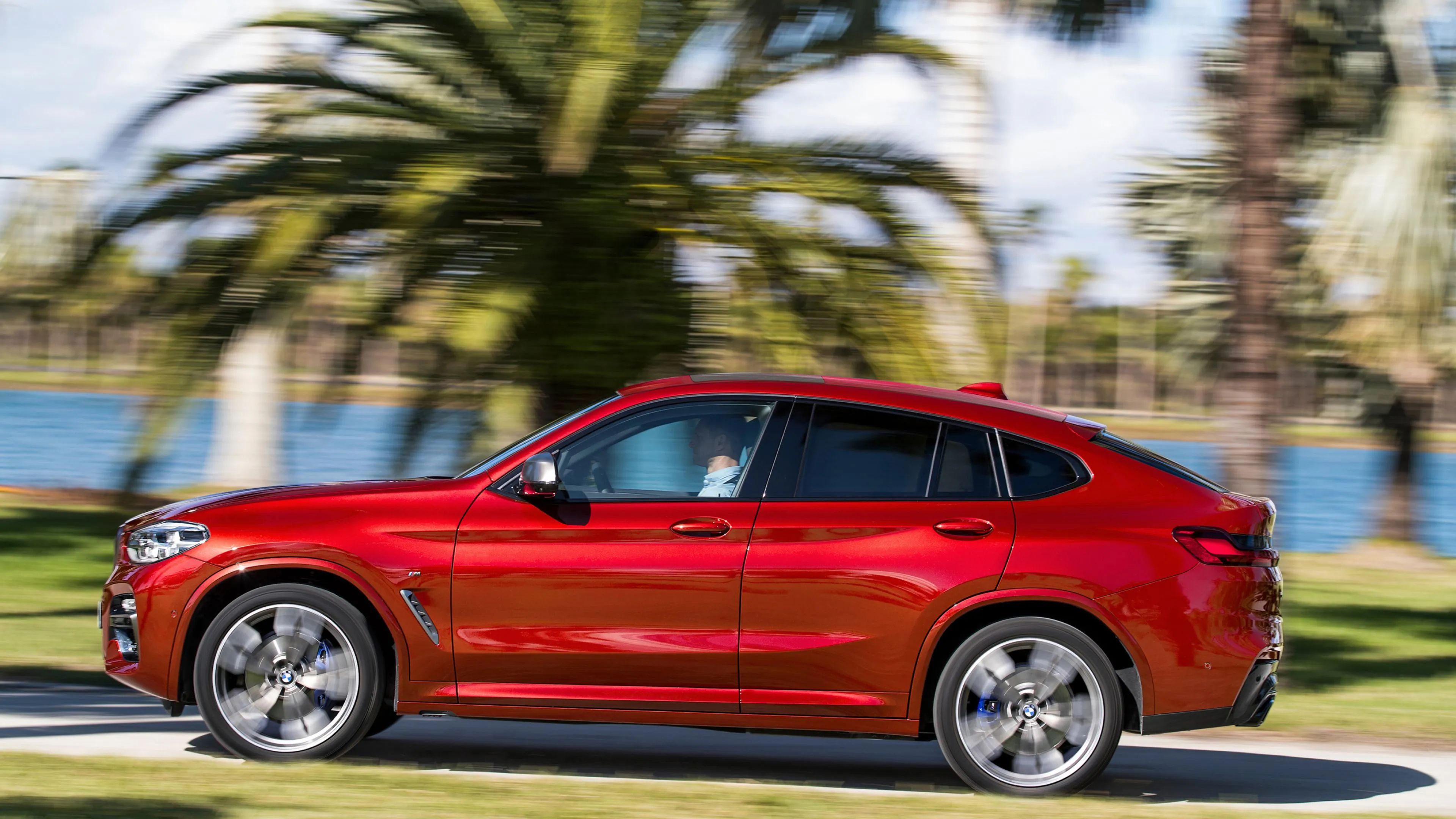 Stylish Red Bmw Parked Under Palm Trees on a Sunny Day