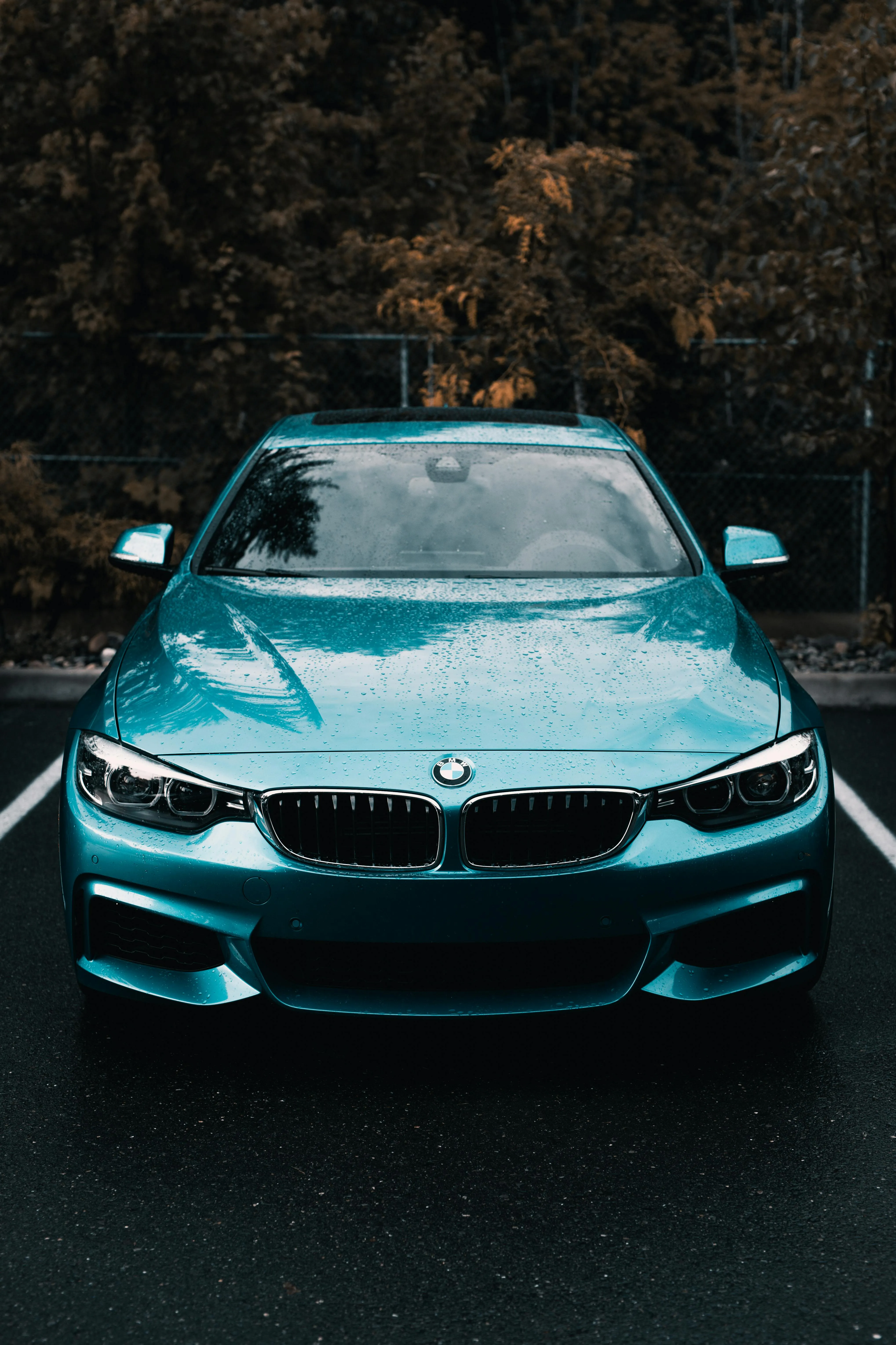 Teal Bmw Parked in Shade with Autumn Trees Behind Image