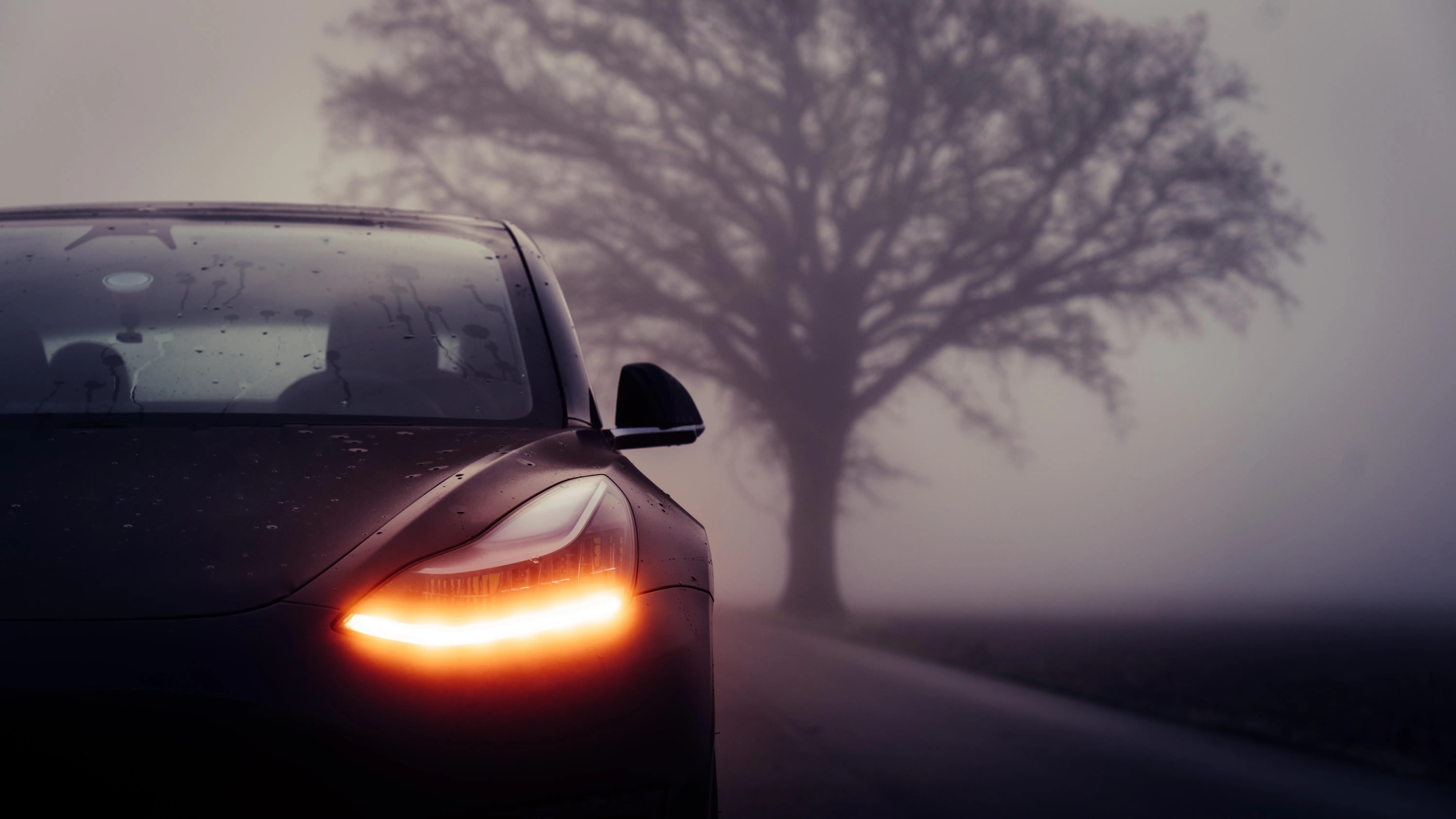 Tesla Model S Headlight Closeup in Foggy Countryside View