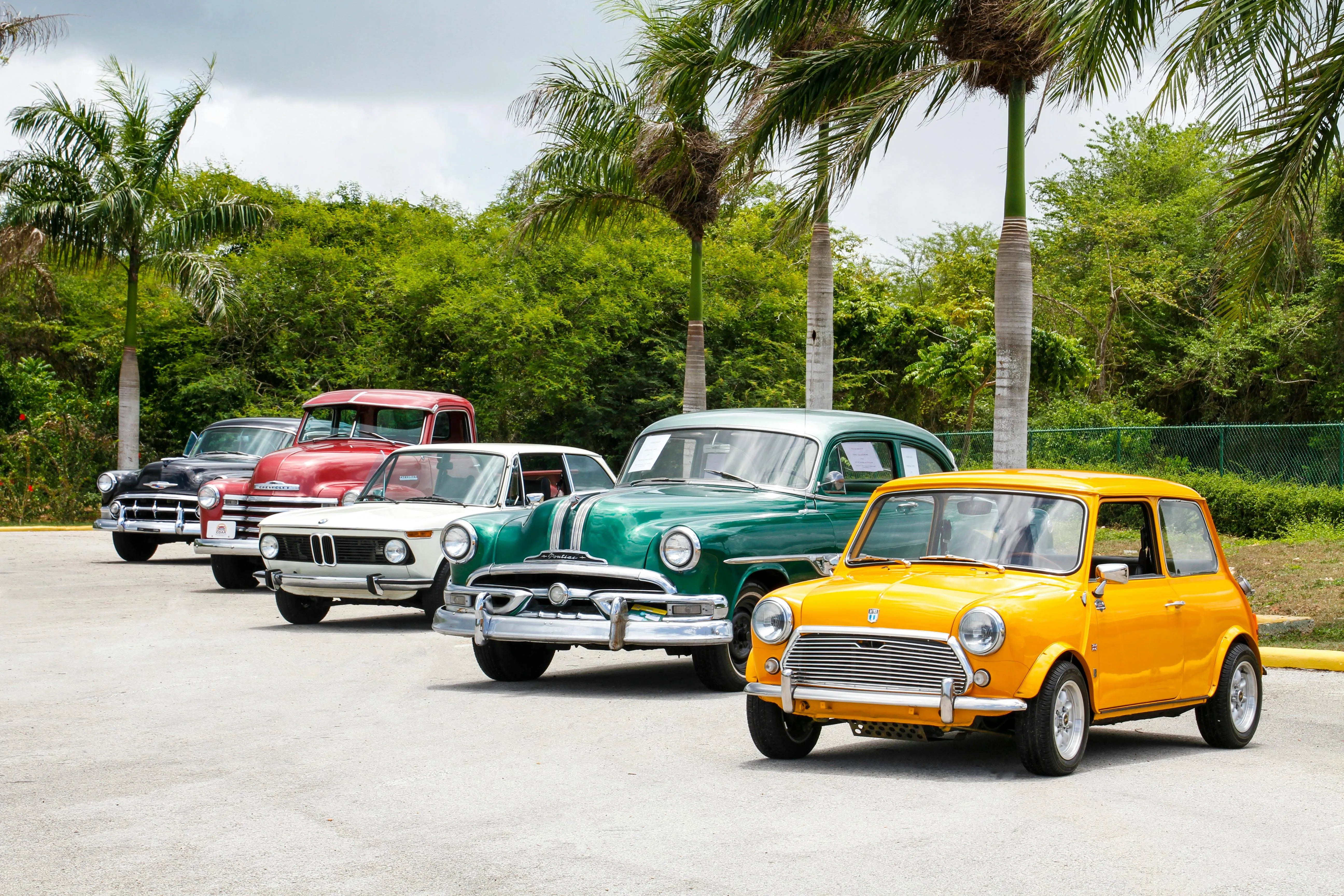 Vintage Bmw Cars Parked in Sunny Tropical Setting Image