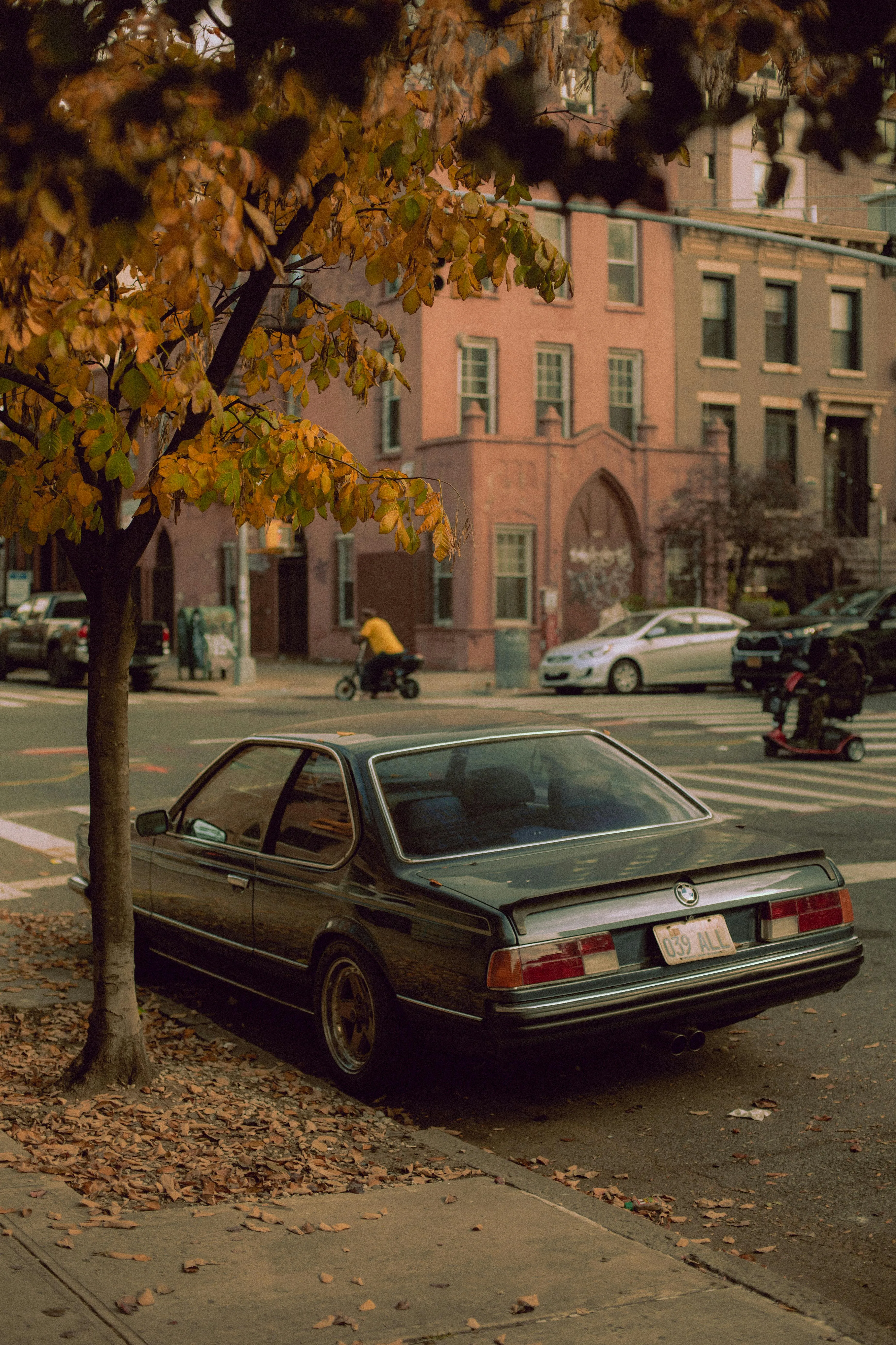 Vintage Bmw Parked on a Tree Lined Street in a Cityscape