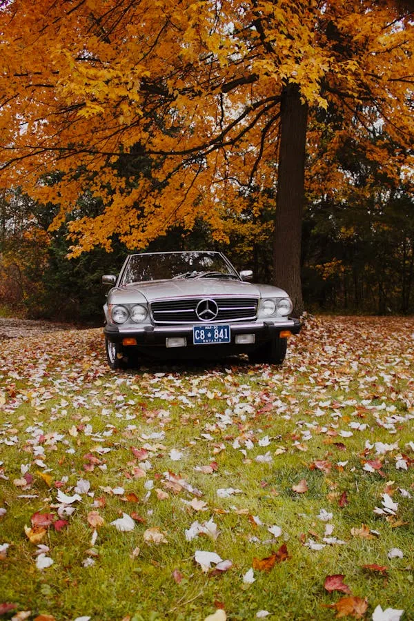 Vintage Mercedes Parked Among Autumn Leaves Wallpaper