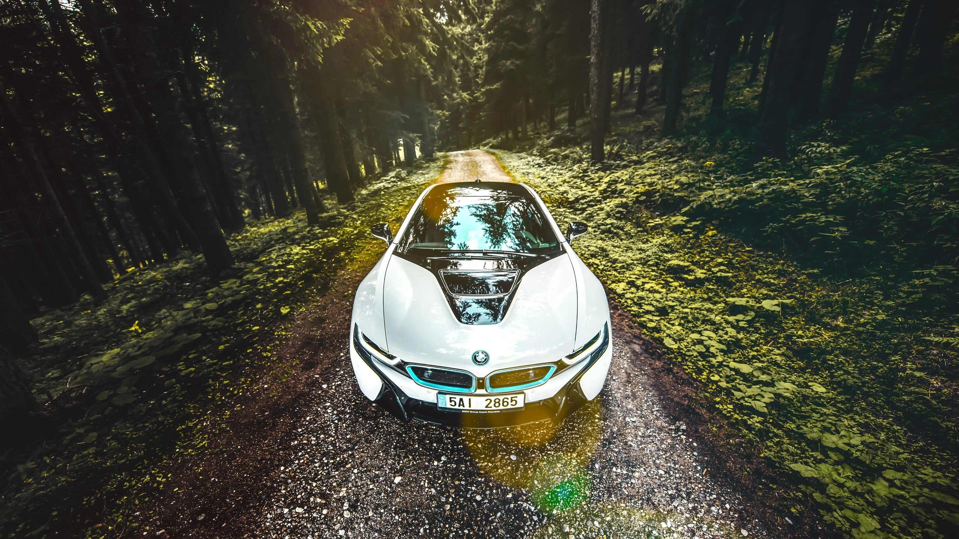White Bmw Driving Through a Forest Road with Sunlight Rays