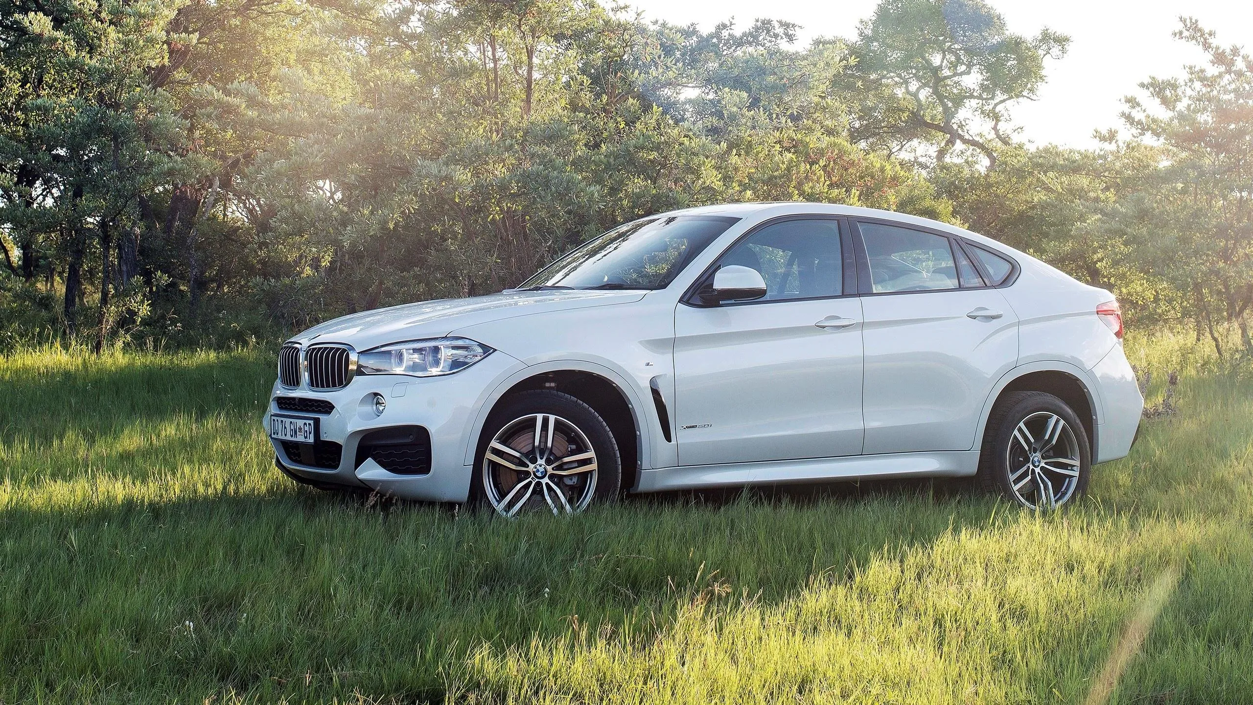 White Bmw Parked in Scenic Grassy Area with Trees