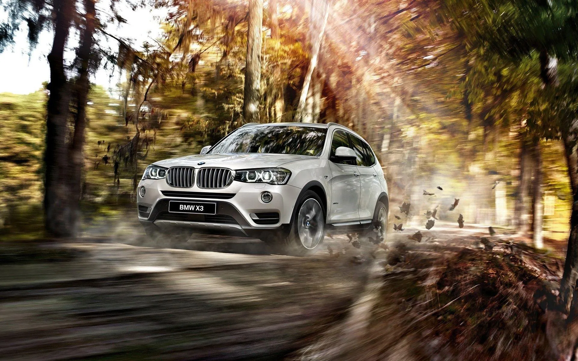 White Bmw Suv Driving Through an Autumn Forest Wallpaper