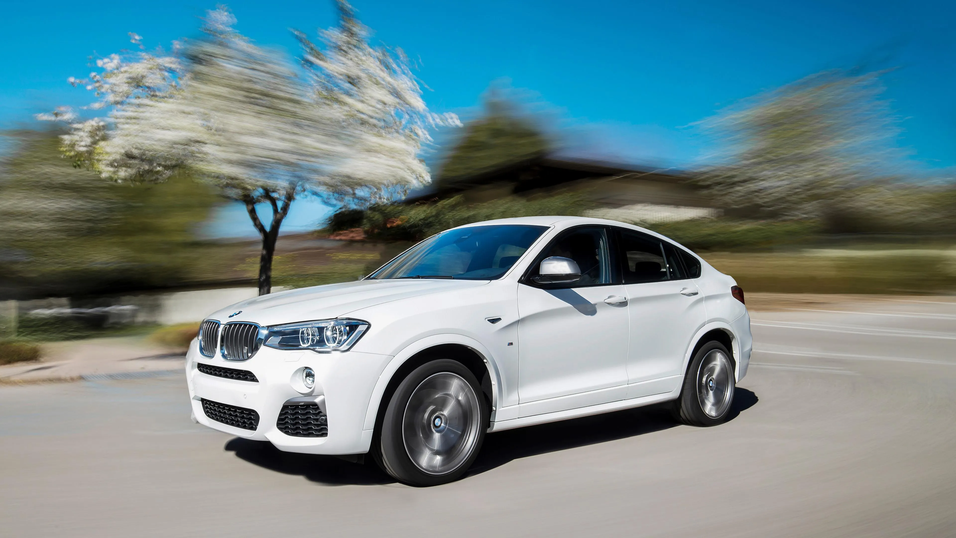 White Bmw Suv in Motion on Curved Road with Trees Image