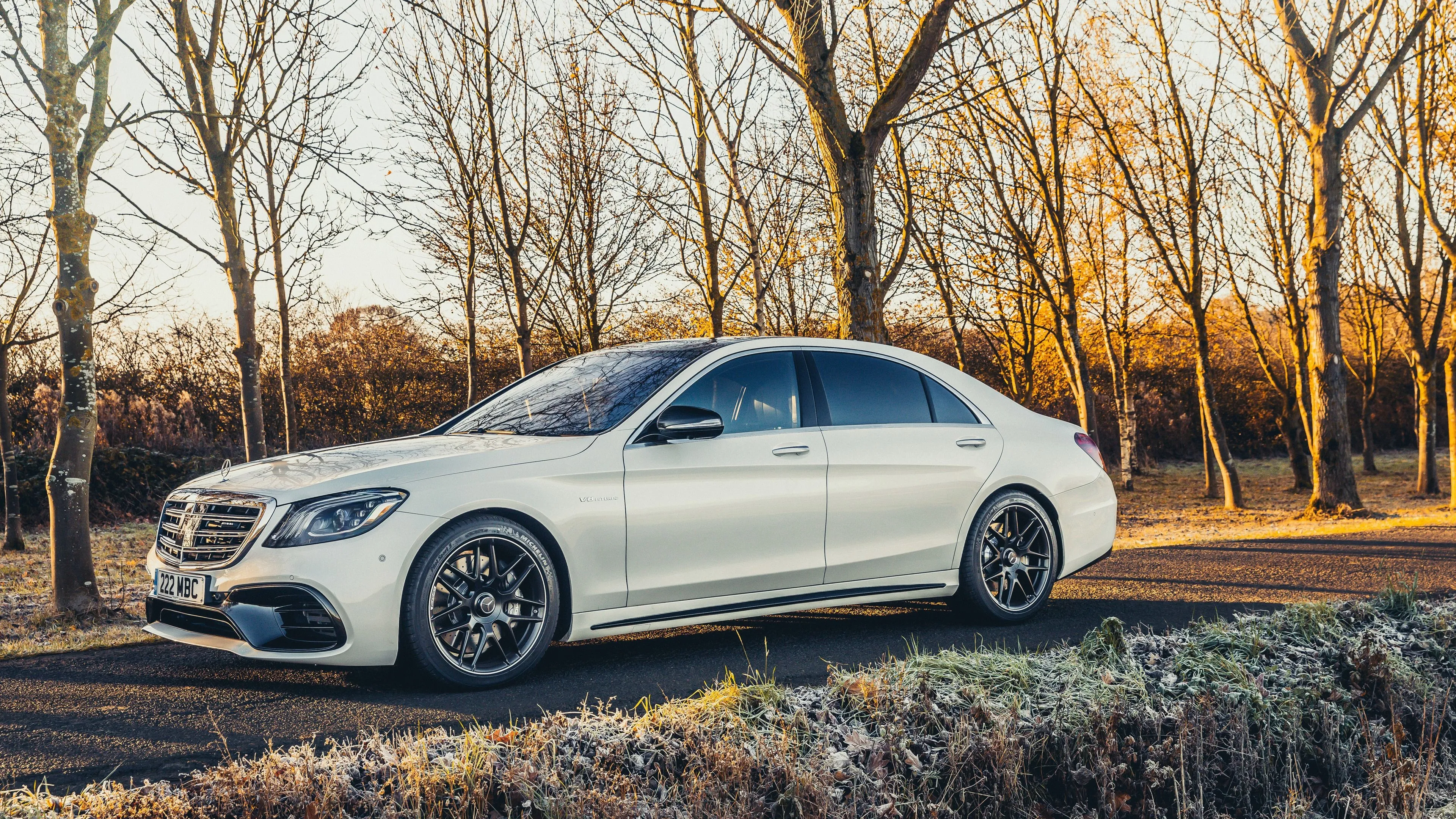 White Mercedes Benz Sedan Parked Among Autumn Trees image