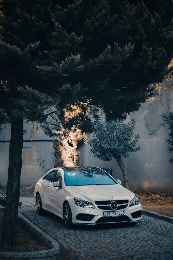 White Mercedes Benz Sedan Parked Under Dense Trees Wallpaper