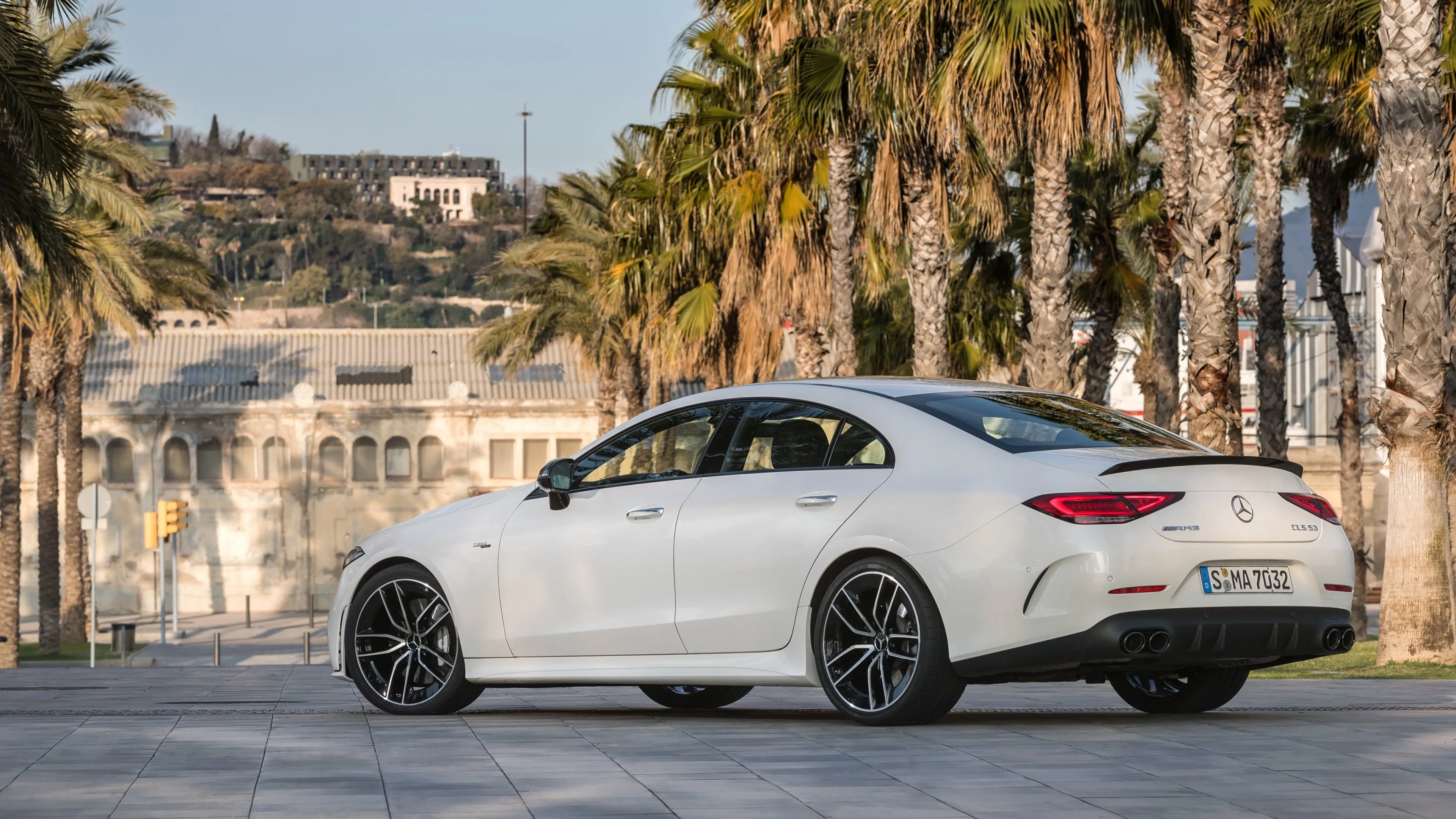 White Mercedes Coupe Parked Alongside Palm Tree Resort