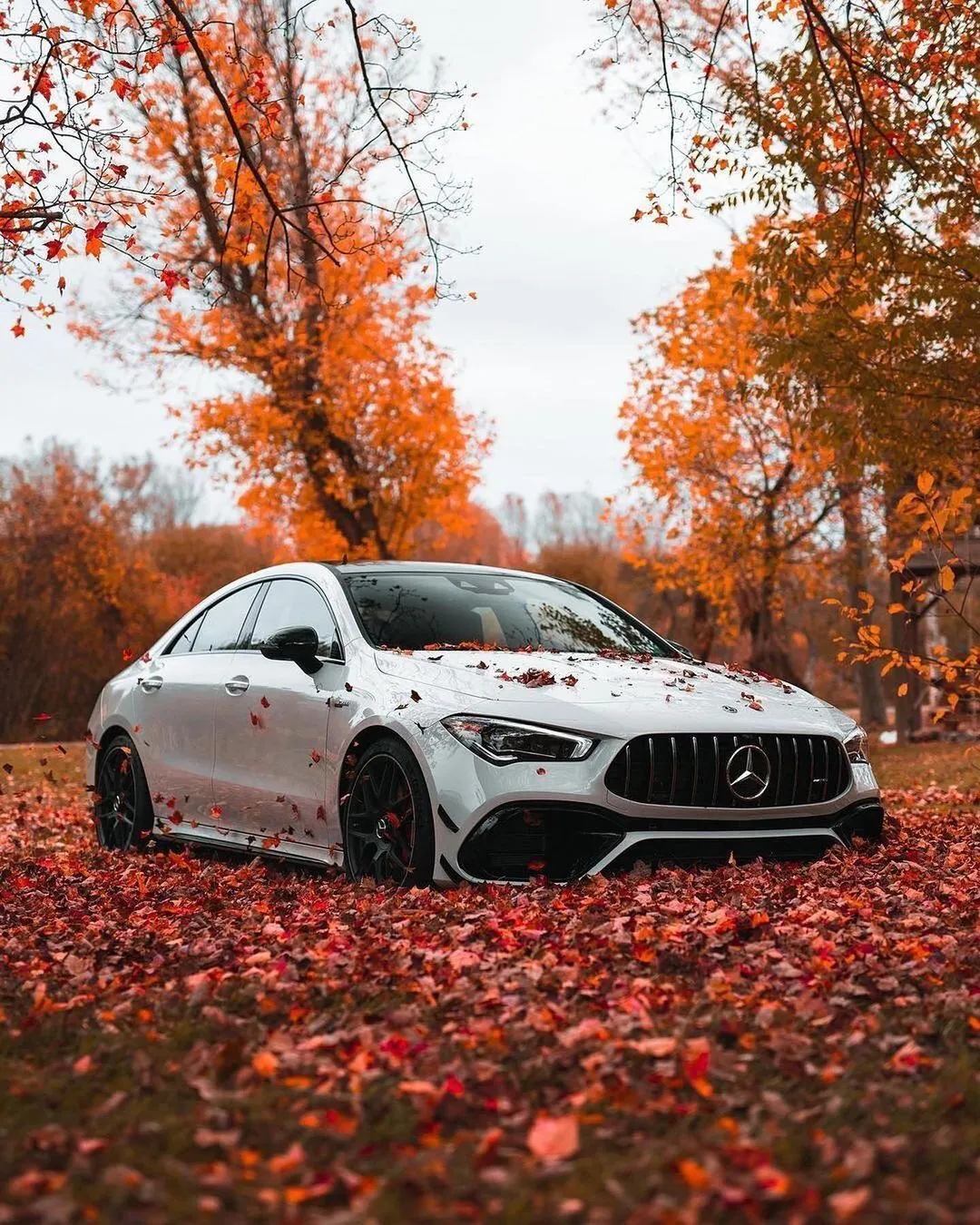 White Mercedes on Leaf Covered Ground in Autumn Wallpaper