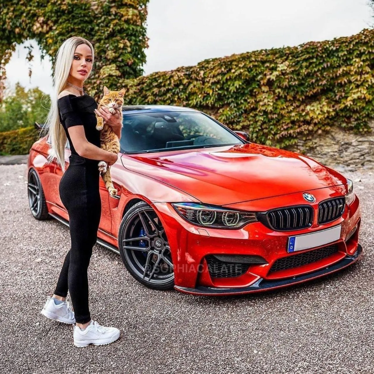 Woman with Red Bmw Parked Near Hedge and Holding a Cat