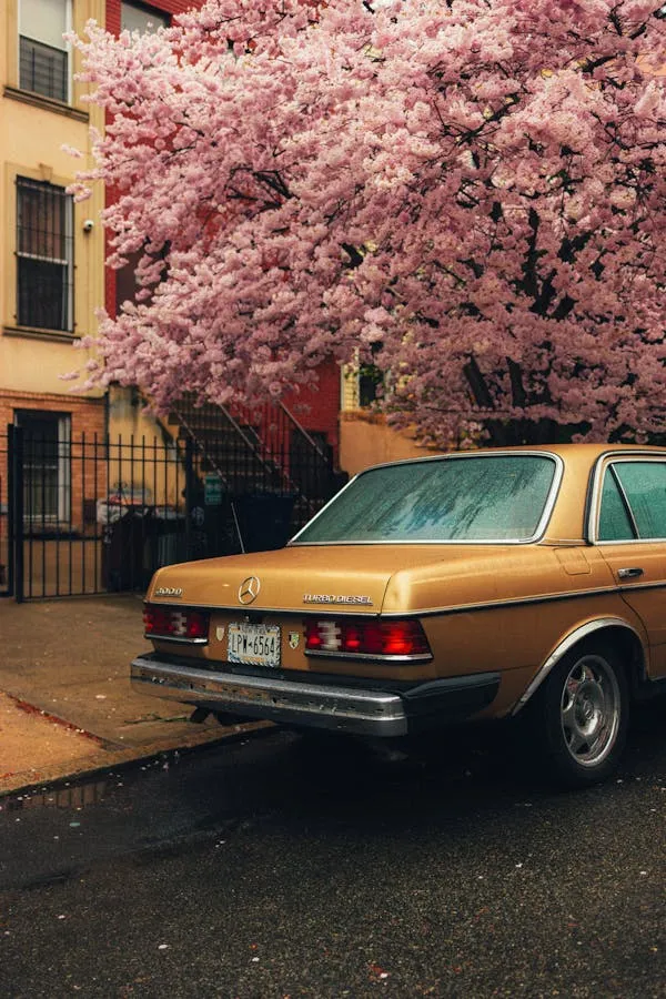 Yellow Mercedes Benz by Cherry Blossom Tree in Spring