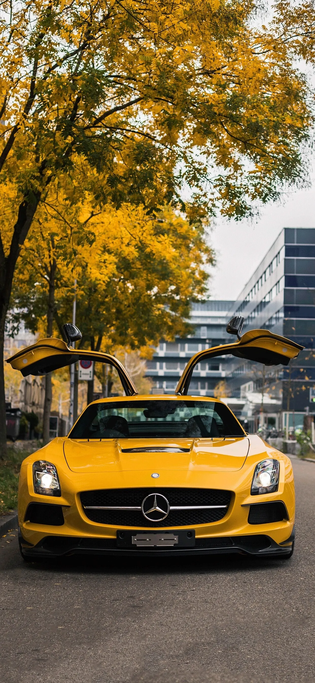 Yellow Mercedes Benz Supercar Parked under Autumn Tree